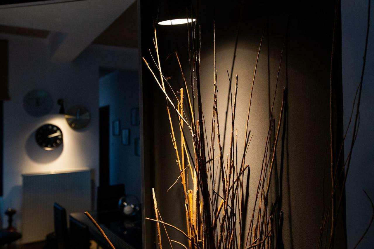 Villa Deluxe Sight 约阿尼纳 外观 照片
